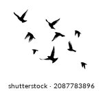 a flock of flying birds. free... | Shutterstock .eps vector #2087783896