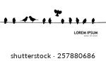 Birds On The Wire. Vector