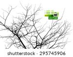 Tree Branches Background. Vector