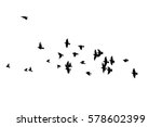 Flock Of Birds Silhouette....