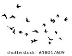Flying birds in the sky. Vector