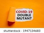 Small photo of Covid-19 double mutant symbol. Words 'Covid-19 double mutant' appearing behind torn orange paper. Medical and COVID-19 pandemic and double mutant concept. Beautiful orange background. Copy space.