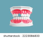 Small photo of Tooth loss concept. Missing teeth in jaw model on background. Dentistry problems. Gap, absence. High quality photo