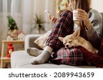 Cozy woman in knitted winter warm socks and sweater with sleeping dog and checkered plaid holding a cup of hot cocoa or coffee, during resting on couch at home in Christmas holidays. Winter drinks.