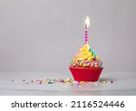 Rainbow Birthday cupcake with a candle and colorful sprinkles over light grey background. Make a wish!