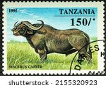 Tanzania   Circa 1995  A Stamp...