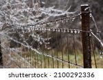 Ice droplets hang from a woven wire fence with iced over tree in background.