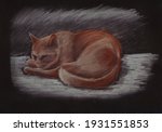 Small photo of Sleeping cat. Sanguine and white calk sketch on toned black paper.