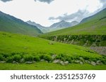 Small photo of The Tarsar Marsar Lake trek is one of the prettiest treks in our country, provided you time it ... Kashmir Great Lakes is a lot tougher than the Tarsar Marsar trek, india