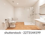 Small photo of Large bathroom and porcelain sink under a frameless mirror and shower cabin with tempered glass screen and toilet with assistance for the disabled