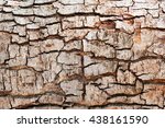 Tree Bark Texture Background.