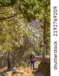 Small photo of Sagarmatha National Park, Nepal - 25 Apr 2022: The young sherpa porter carrying heavy sacks in the Himalayas at Everest Base Camp trek