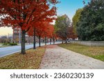 a gorgeous autumn landscape at Nashville Public Square Park with green and red trees, fallen autumn leaves, grass, a footpath and buildings in Nashville Tennessee USA
