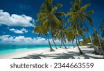 Tropical beach in Punta Cana, Dominican Republic. Palm trees on sandy island in the ocean