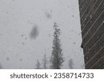 Small photo of Solang Nullah, Himachal Pradesh, India - March 5, 2020: Photograph of heavy snowfall in winter