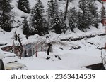 Small photo of Solang Nullah, Himachal Pradesh, India - March 14, 2020: A remote village snowed in by heavy snowfall