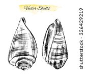 seashell hand drawn vector ink... | Shutterstock .eps vector #326429219