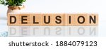 Small photo of DELUSION word written on wood block. DELUSION motivation text on wooden blocks business concept white background. Front view concepts, flower in the background.