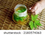 Aegopodium podagraria, also ground elder or gerard's grass, bishop's grass,goutweed. Tea, infusion, decoction of wild herbs. it is used as food and medicine.joint and digestive health
