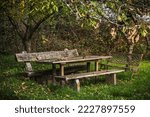 Weathered wooden table and benches in an overgrown garden in autumn