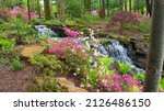 Waterfall Spring Flowers In A...
