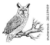 Vector Owl On A Branch. White...