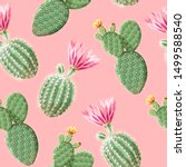 Cactus With Pink Flowers On The ...