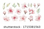 vector watercolor botanical... | Shutterstock .eps vector #1715381563