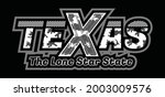 Texas Modern typography design in vector illustration.Clothing,t-shirt,apparel and other uses.