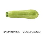 Squash vegetable marrow zucchini isolated on white background. zucchini courgette isolated