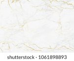 Vector Gold Marble Texture...