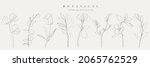 botanical arts. hand drawn... | Shutterstock .eps vector #2065762529