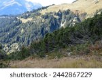 Small photo of The wires of electrification poles stretch along the mountain slopes. A picturesque landscape combined with the industrialization of the environment