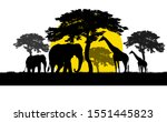 silhouette giraffe and elephant ... | Shutterstock . vector #1551445823