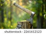 Small photo of A sharp axe with a wooden handle is stuck into a wooden stump in the forest. A woodcutter's tool. Chop wood. To knock down a tree in the forest.