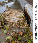 Rusted Storm Drain With Autumn...