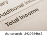 total income is a gross income from all sources less certain deductions such as expenses, allowances and reliefs