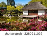 Japanese Tea House with pink flowers in the foreground at a pond in Planten un Blomen public park in Hamburg, a tranquil retreat in a beautiful Japanese garden with scenic stones and lush foliage.