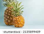 Small photo of Tropical pineapples fruit on blue. Minamal, vitamin pineapple, vegan diet food. Pineapple creative concept. Large and mini pineapple.