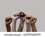 Small photo of Hands of different people, of diverse race, skin color, gender raising fists up over grey background. Human rights and equality. Concept of human relation, community, togetherness, symbolism, culture