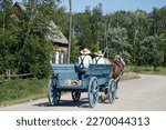 Horse-drawn carriage on the road in the village in summer