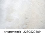 white fur texture. Long pile faux fur background