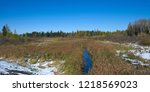 Bridge to the source at lake Itasca state park, Minnesota image - Free 