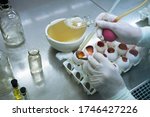 Small photo of one of the stages of creating vaccines, working with eggs that are free of specific pathogenic contaminants, on which virus strains are cultured and their virulence is weakened