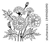 Bouquet Of Marigolds In Doodle...