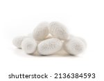 Small photo of The silkworm cocoon isolated on white background
