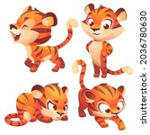 tiger cub cute cartoon... | Shutterstock .eps vector #2036780630