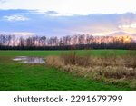 Small photo of wet farmland. wet meadows. A large puddle in an agricultural field. marshy farmland. flooding of meadows and fields in the spring.agricultural landscape in early spring. Agricultural fields sown.