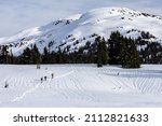 Group of skiers climbing a mountain in Garibaldi Provincial Park, Whistler, British Columbia, Canada