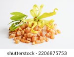 Small photo of Frankincense or olibanum aromatic resin isolated on white background used in incense and perfumes.